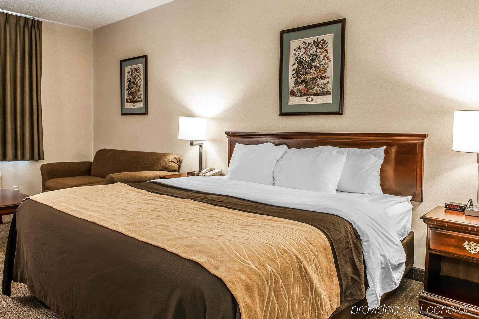 Comfort North 2*
