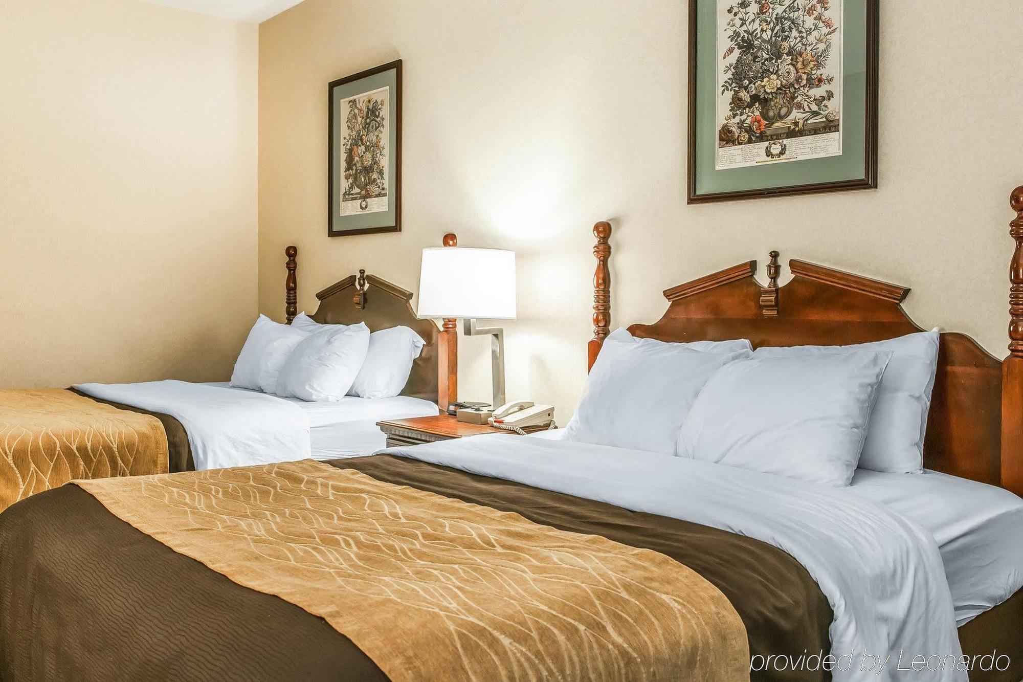 Comfort North 2*