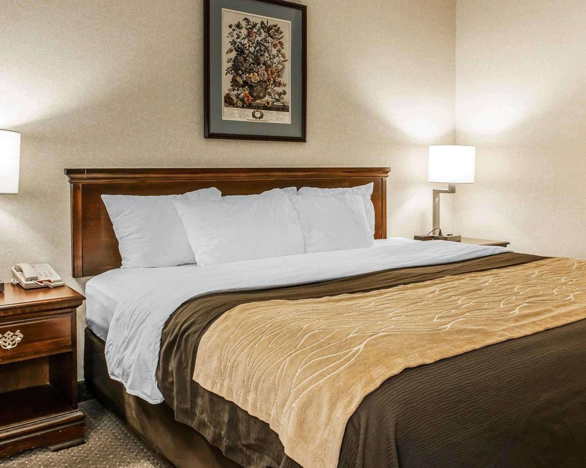 Comfort North 2*