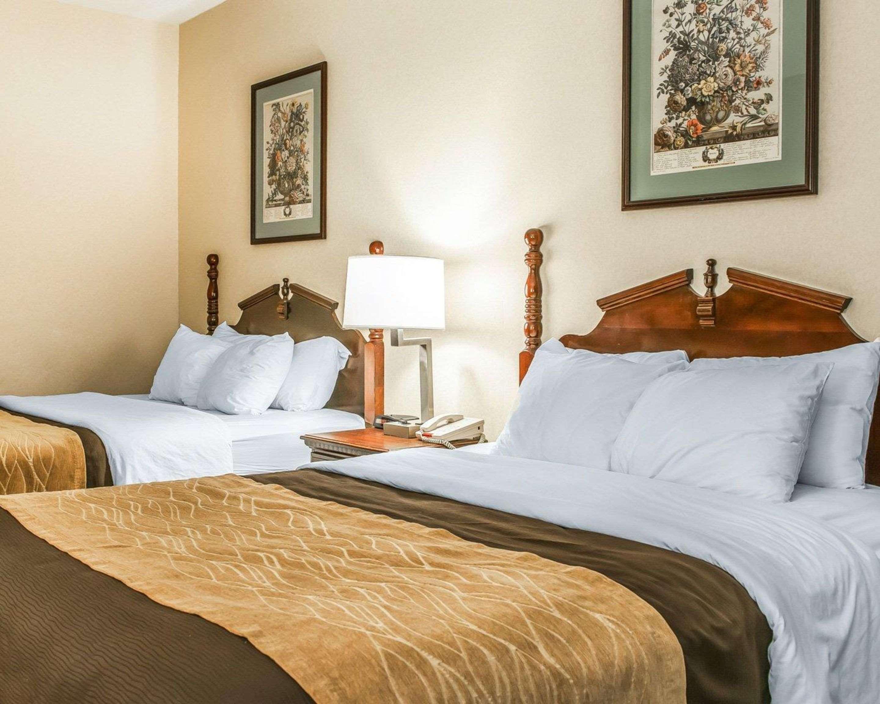 Inn Comfort North 2*